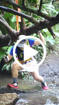 BIB:  <button type="button" onclick="openModal(27824464)" class="btn btn-primary btn-sm float-right" data-toggle="modal" data-target=".modal-high-quality">
                <i class="fa fa-download"></i> Download
                </button>